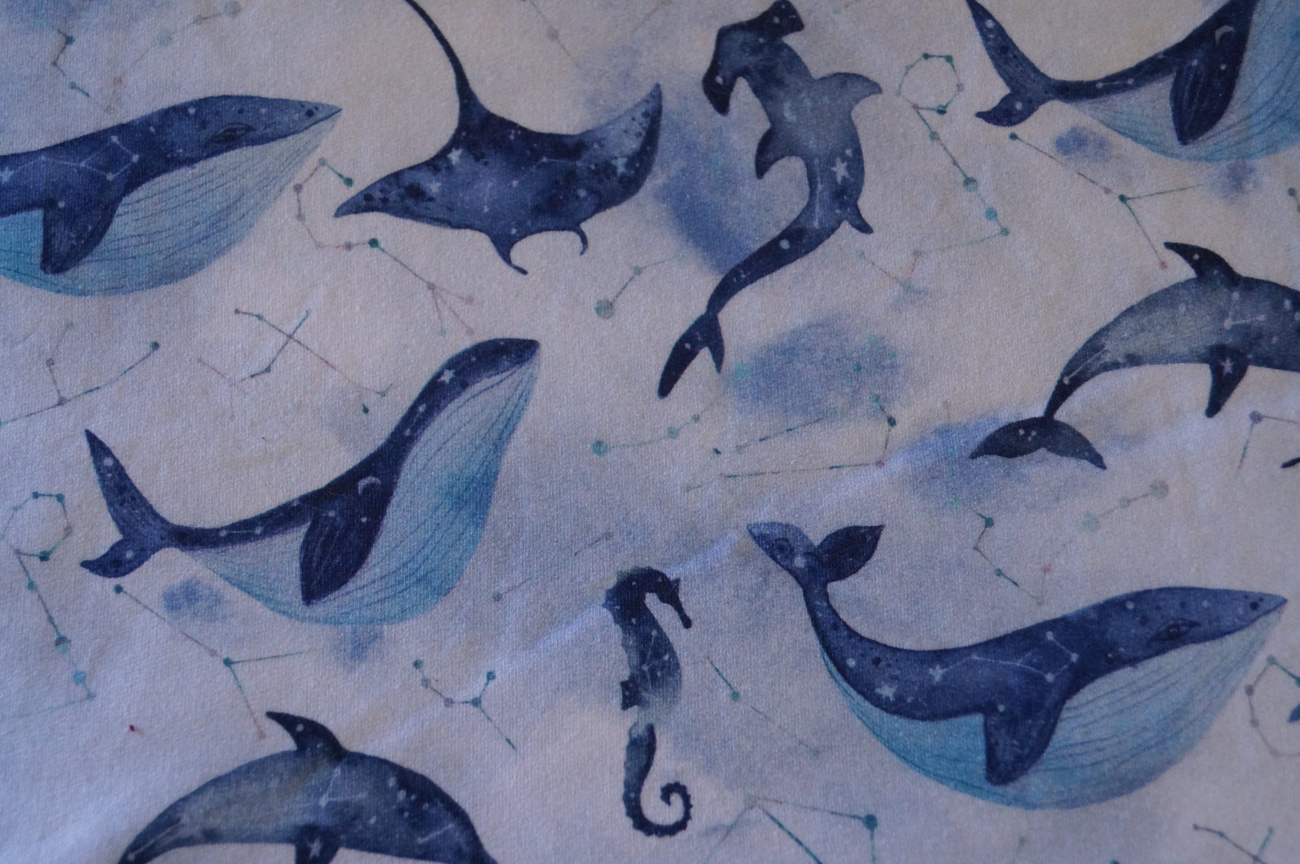 Sarouel évolutif chaud / Salopette chaude Baleine – Image 2
