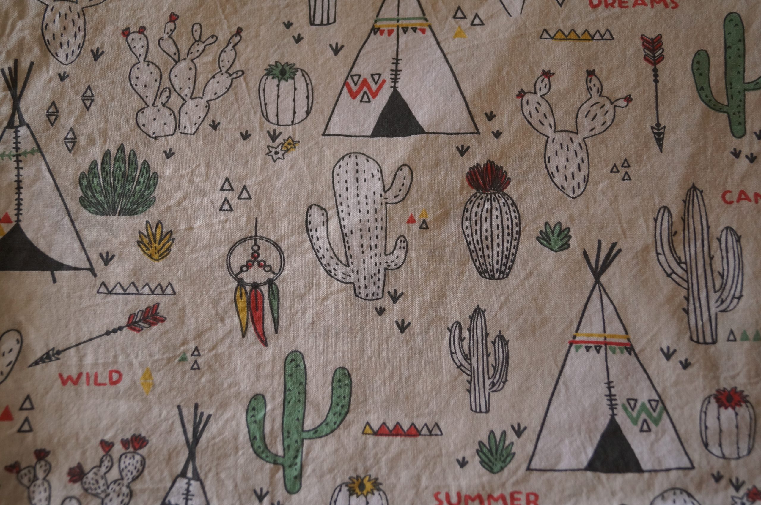 Shorty Cactus indien – Image 3