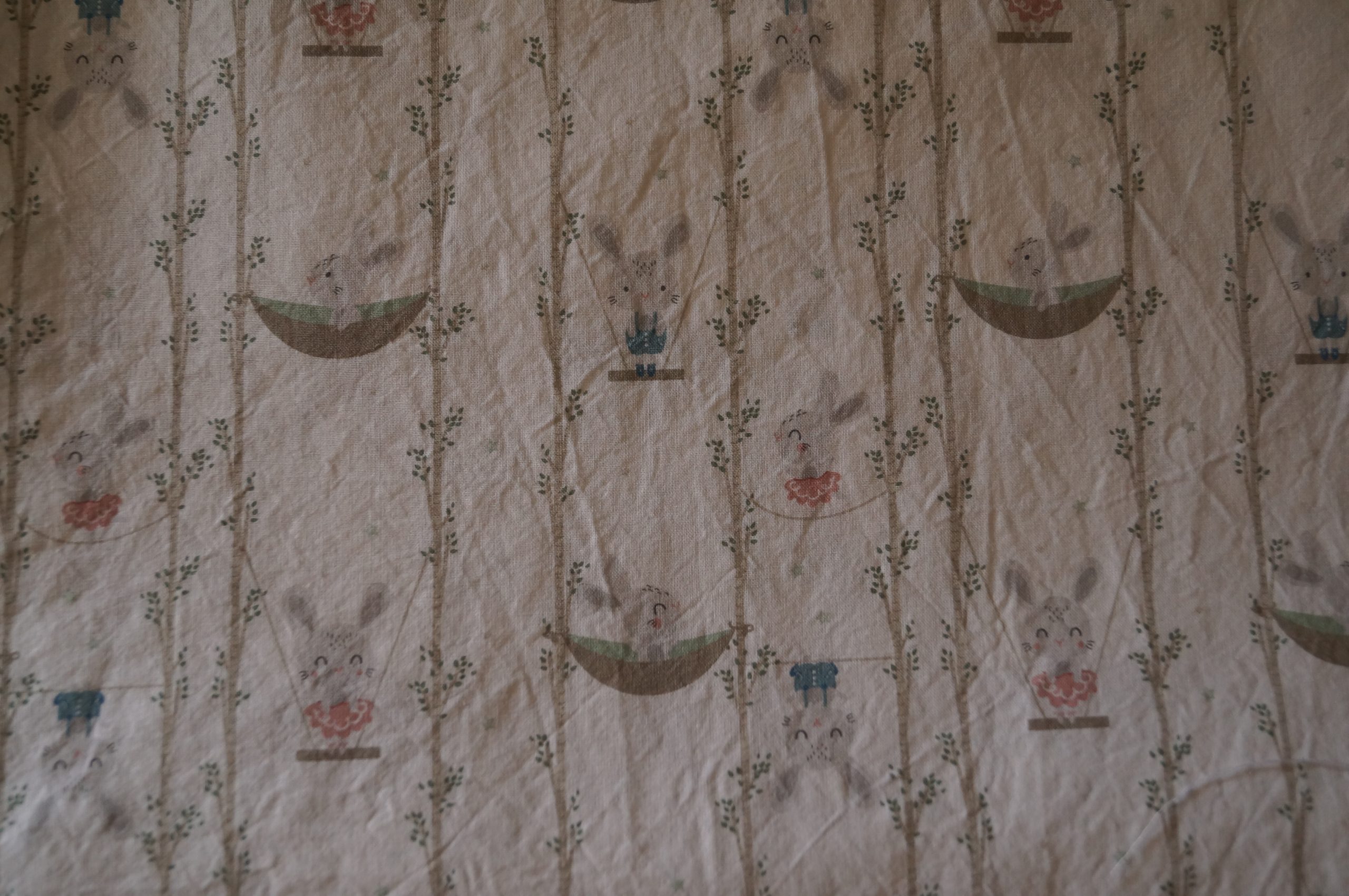 Shorty Lapins – Image 3