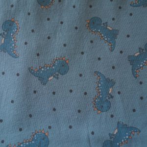 Couche classique + Booster Dinosaures